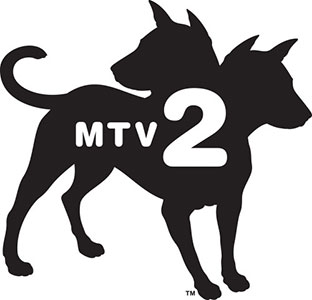 MTV 2 DIRECTV